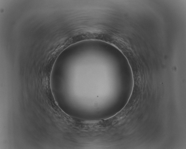 X0000073921061200608181043