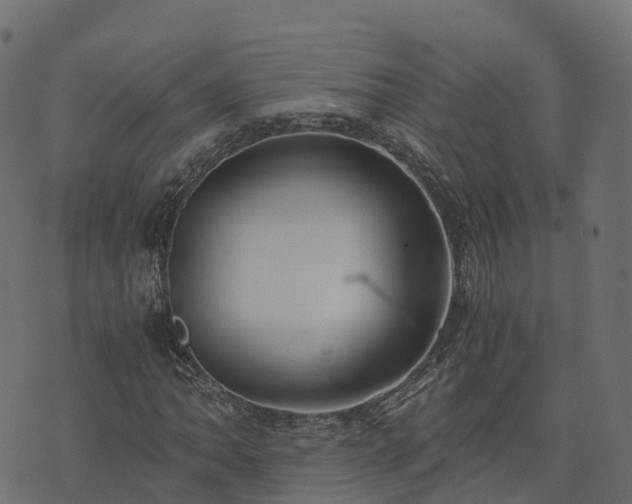 X0000073921062200608181043