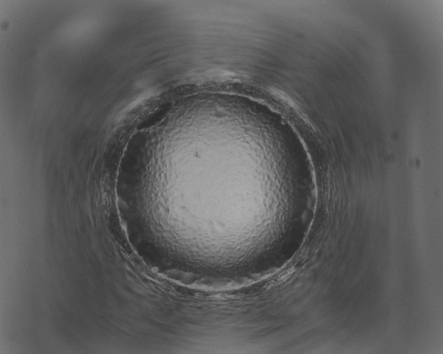 X0000073921063200608181043