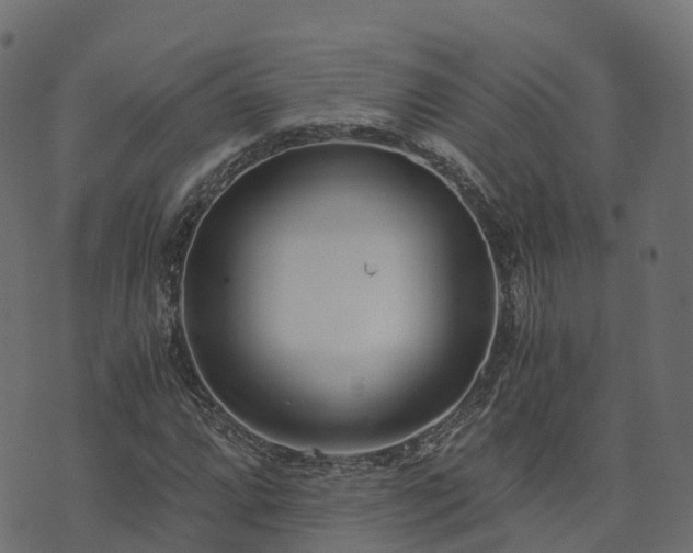 X0000073921064200608181043