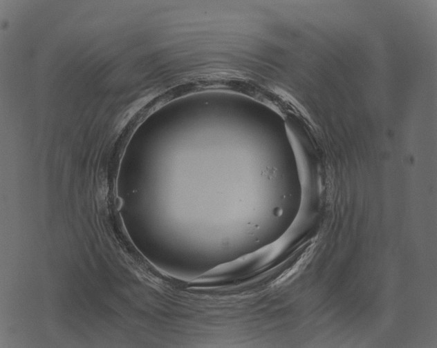 X0000073921065200608181043