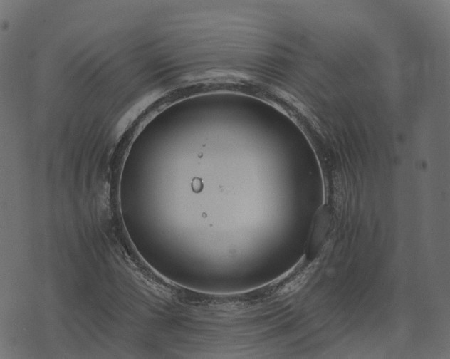 X0000073921066200608181043