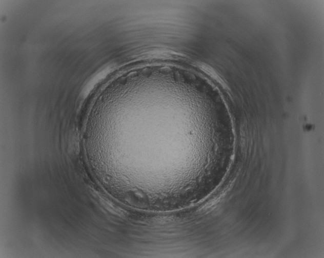 X0000073921067200608181043