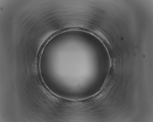 X0000073921068200608181043