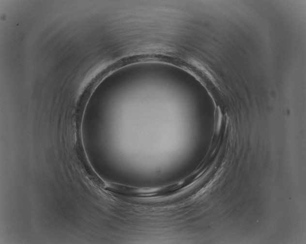 X0000073921069200608181043