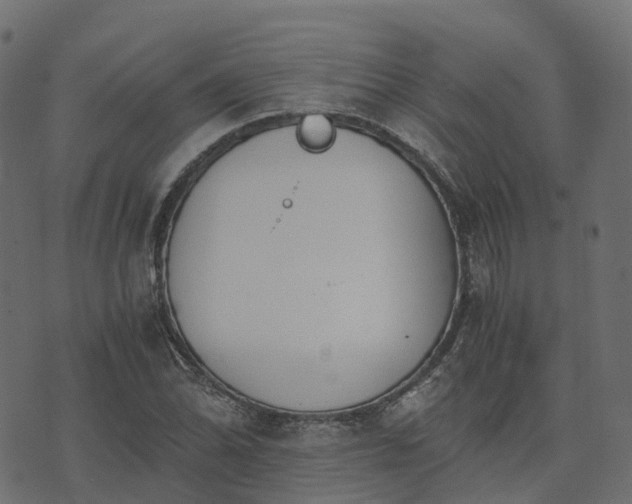 X0000073921070200608181043