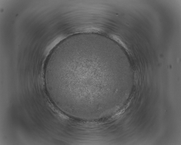 X0000073921071200608181043