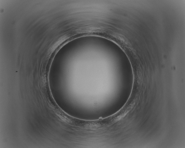 X0000073921073200608181043