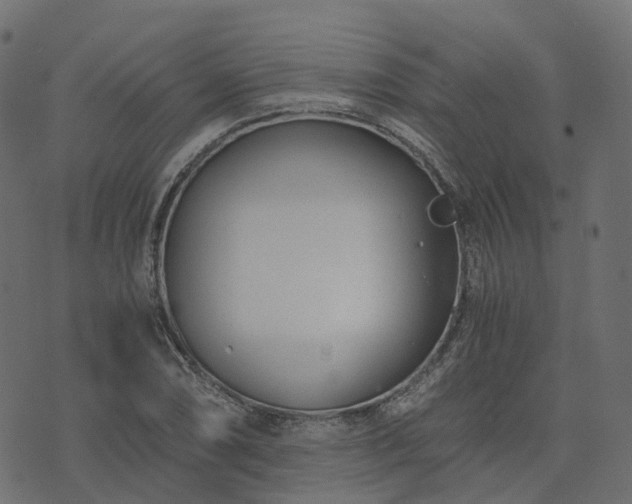 X0000073921074200608181043