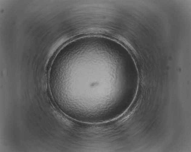 X0000073921075200608181043