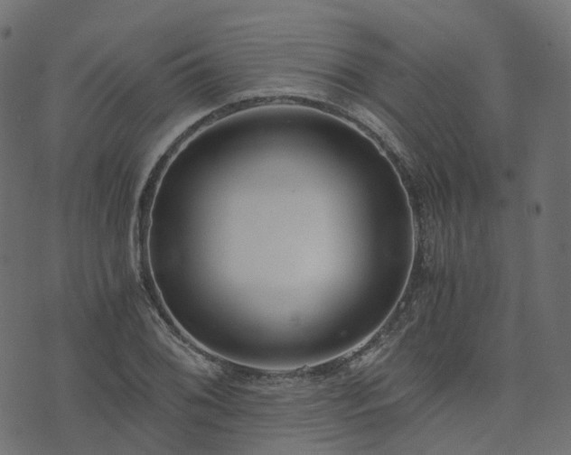 X0000073921076200608181043