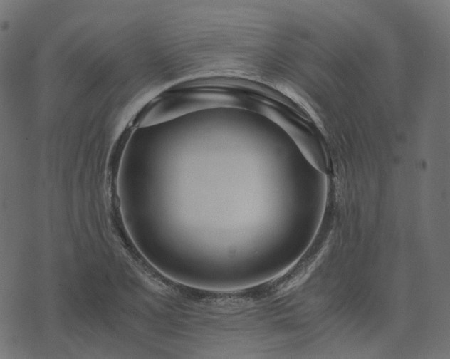 X0000073921077200608181043