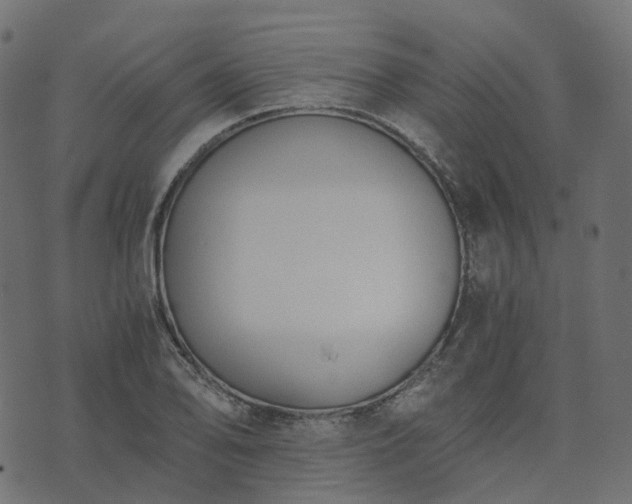 X0000073921078200608181043