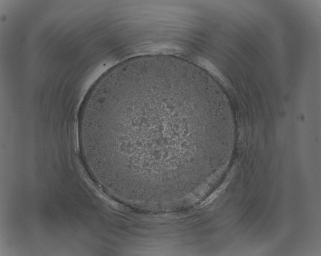 X0000073921079200608181043