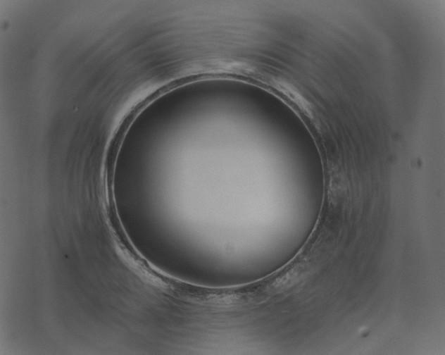 X0000073921080200608181043