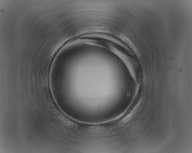 X0000073921081200608181043