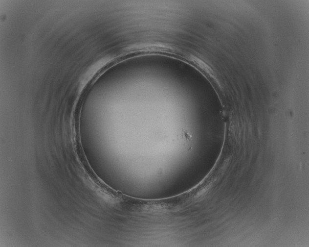 X0000073921082200608181043