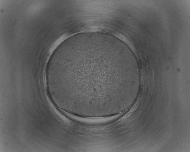 X0000073921083200608181043