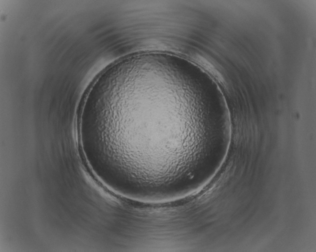 X0000073921084200608181043