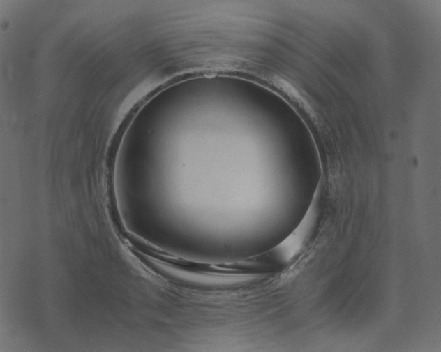 X0000073921085200608181043