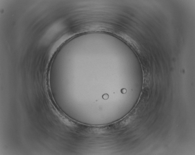 X0000073921086200608181043