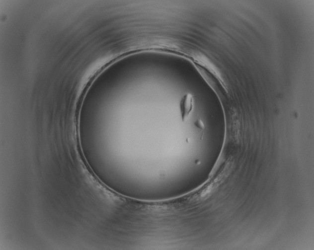 X0000073921088200608181043