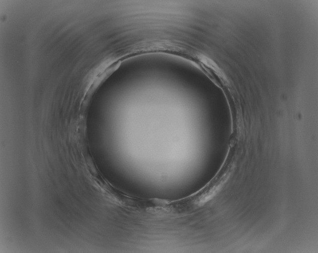 X0000073921089200608181043