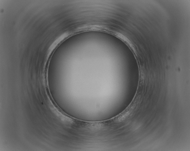 X0000073921090200608181043