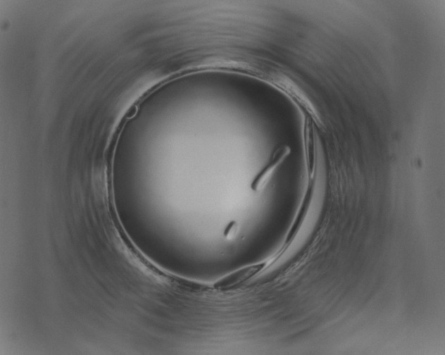 X0000073921092200608181043