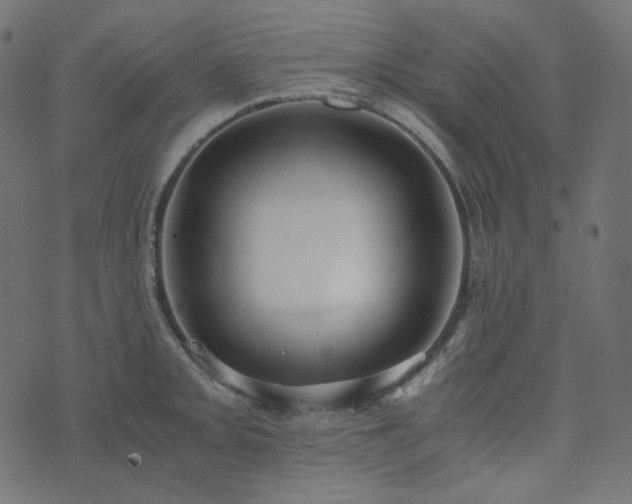 X0000073921093200608181043