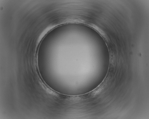 X0000073921094200608181043