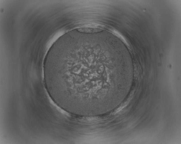 X0000073921095200608181043