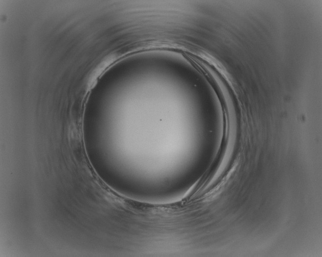 X0000073921097200608181043