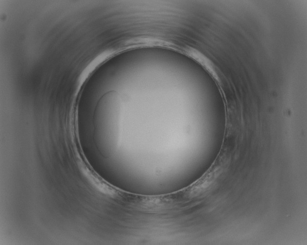 X0000073921098200608181043