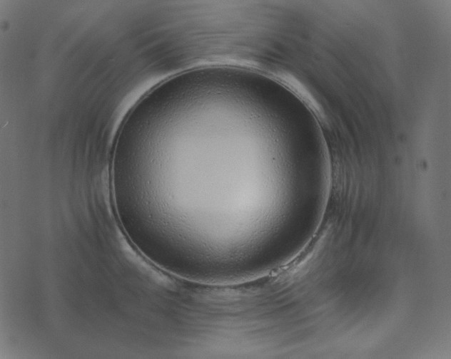 X0000073921100200608181043