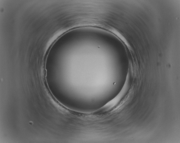 X0000073921101200608181043