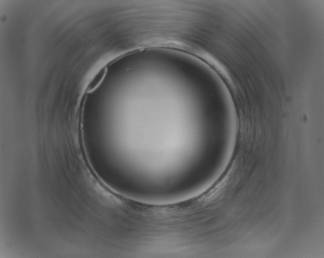 X0000073921102200608181043