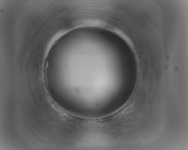 X0000073921104200608181043