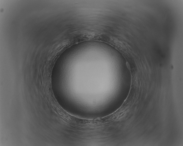 X0000073921105200608181042