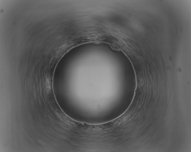 X0000073921106200608181042