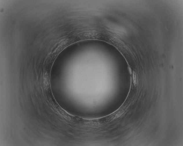 X0000073921107200608181042