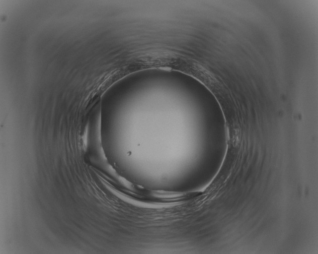 X0000073921108200608181042