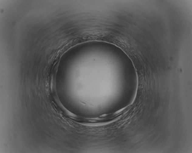 X0000073921109200608181042