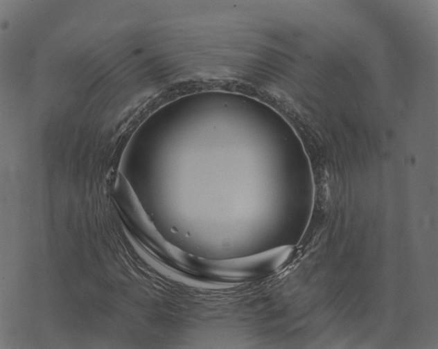 X0000073921110200608181042