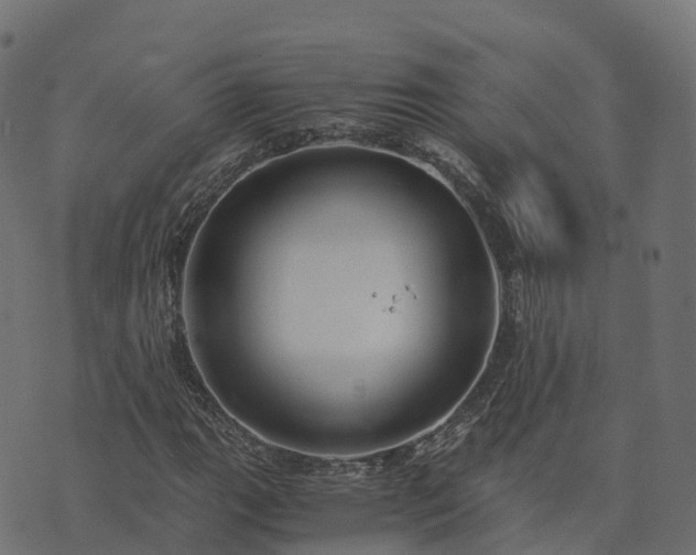 X0000073921111200608181042