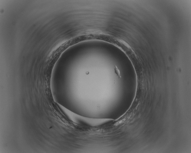 X0000073921112200608181042