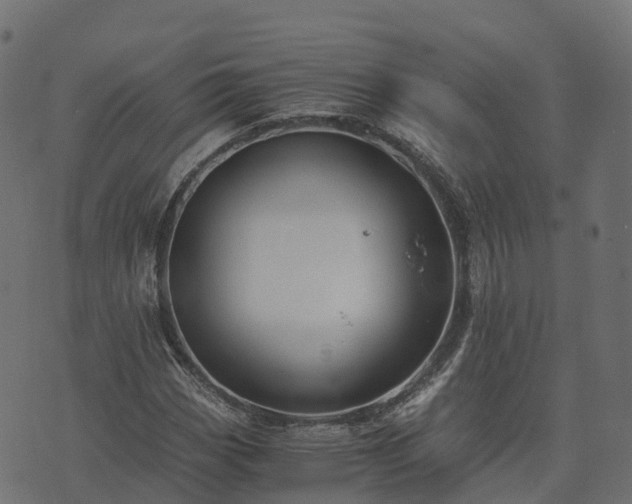 X0000073921113200608181042