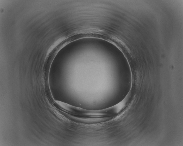 X0000073921114200608181042