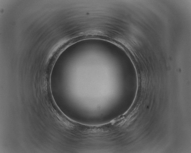 X0000073921115200608181042