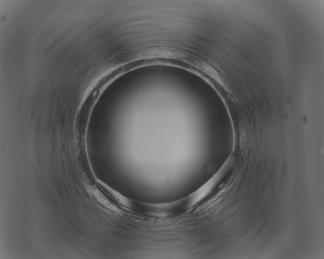 X0000073921116200608181042